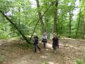 2018-05-24 11-32-58  Rando Fontainebleau FGn